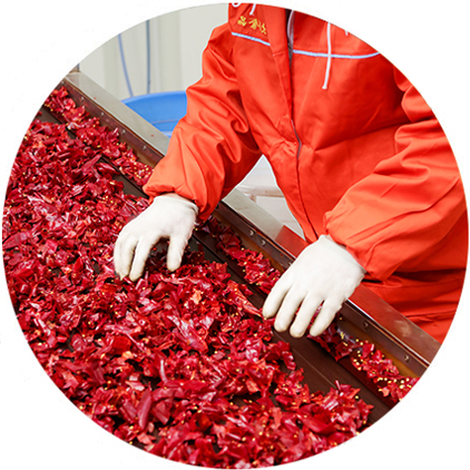 辣椒醬代加工廠(chǎng)家-青島大豐食品 辣椒醬代加工廠(chǎng)家-青島大豐食品